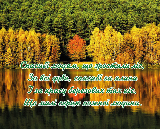 Віршовані вітання з Днем працівників лісу 2024 — українською