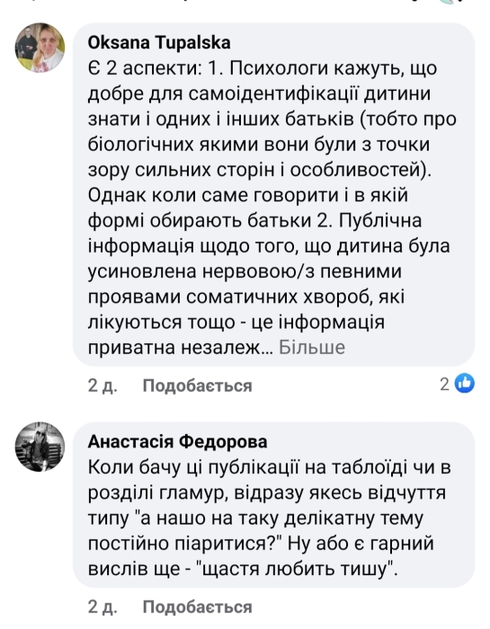 Украинский адвокат осудил семью Мирошниченко из-за усыновления ребенка - фото №4