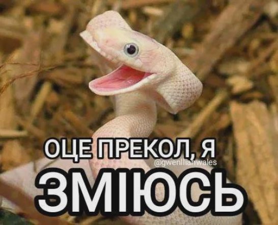 Приколы и шутки о змее