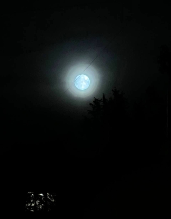 Невероятную Голубую Луну видели этой ночью в разных уголках Земли: зрелище действительно поразительное! (ФОТО) - фото №6