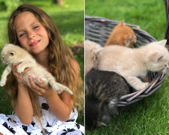 Дочь Оли Поляковой с котятами