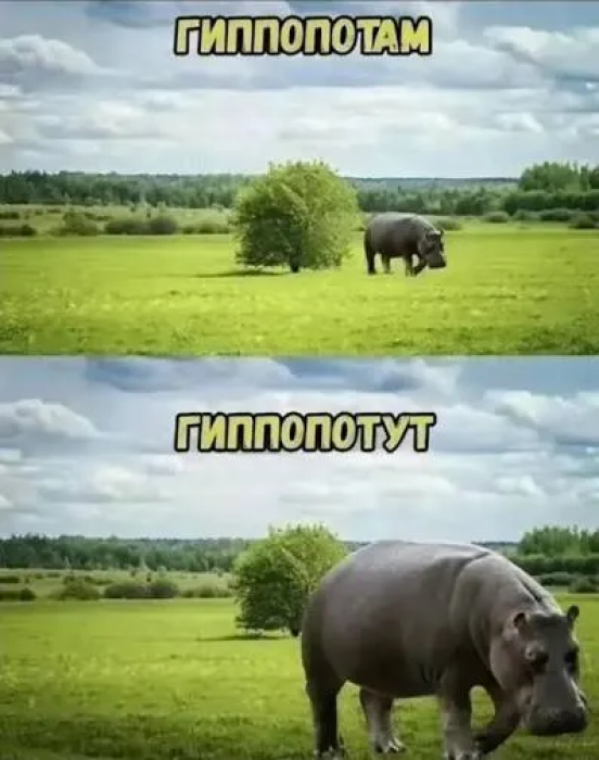 Порция юмора для бодрого дня