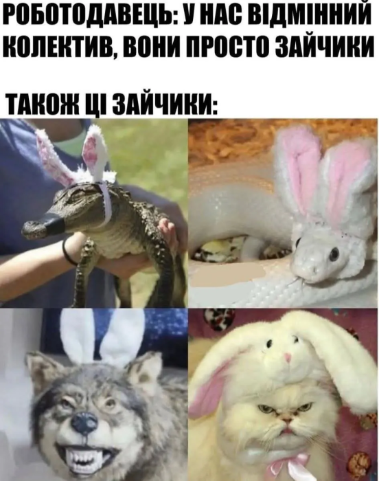 Свіжий гумор у картинках для гарного настрою