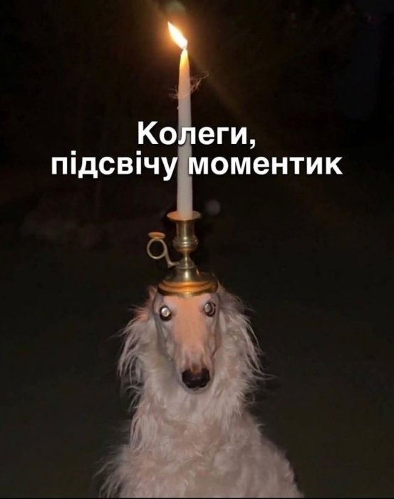 Жизненные мемы о работе в офисе