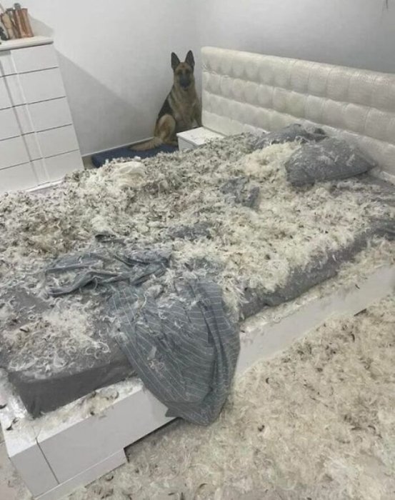 10 випадкових кадрів, які стали вірусними