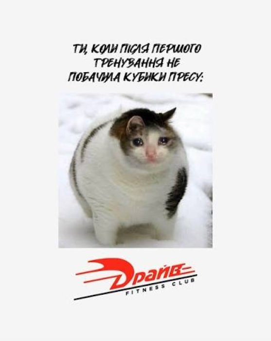 Лучшие шутки и анекдоты о спорте и тренажерном зале