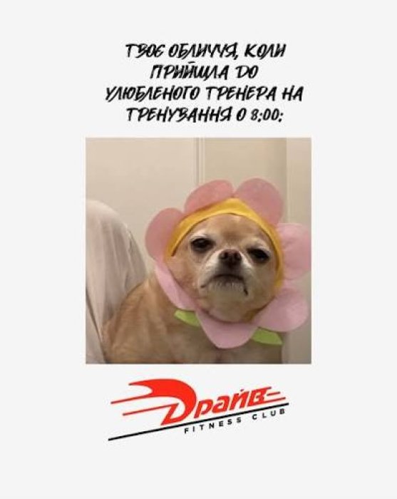 Лучшие шутки и анекдоты о спорте и тренажерном зале