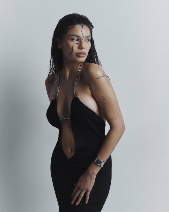 Стиль Мішель Андраде, фото