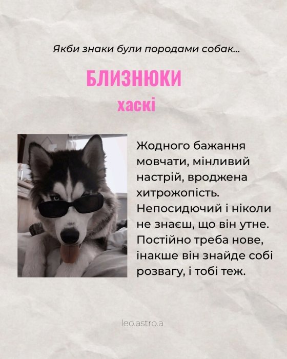 Гороскоп яка ти собака для Близнят
