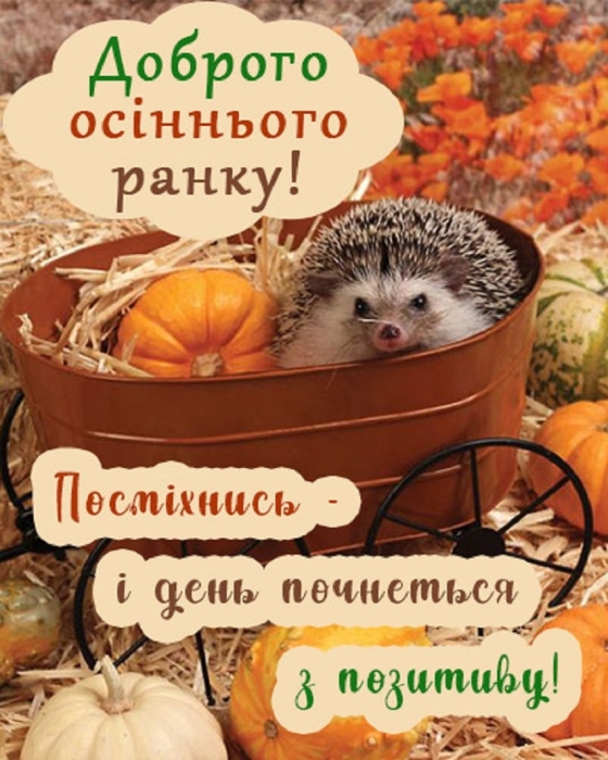 Доброго осіннього ранку! Найкращі листівки з привітаннями та побажаннями гарного дня - фото №3