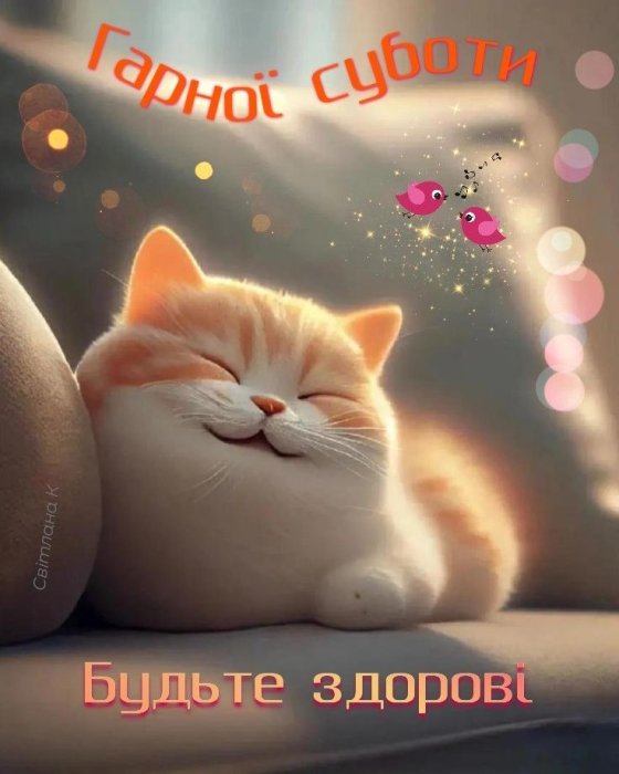 Мирної суботи 2025