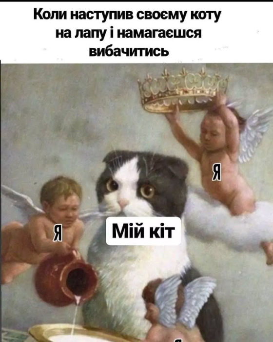 Позитив на каждый день