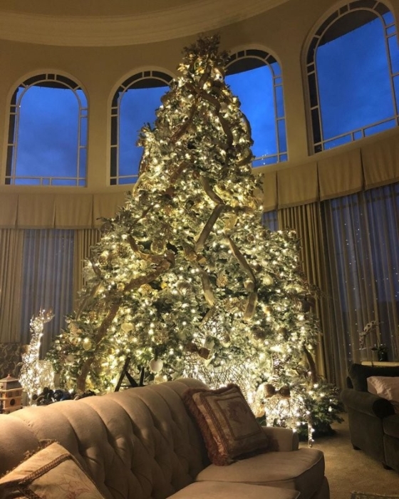 Праздник к нам приходит: Бритни Спирс показала, как украсила дом к Новому году (ФОТО) - фото №1