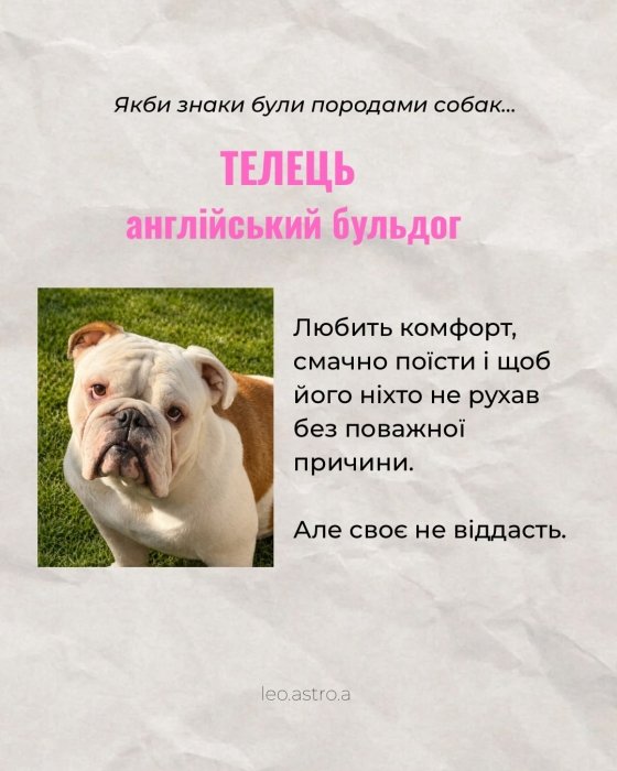 Гороскоп яка ти собака для Тельця