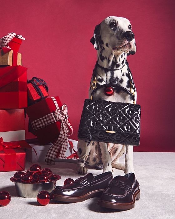 Слишком мило: главными героями рождественской рекламы Tod's стали собаки (ФОТО) - фото №2