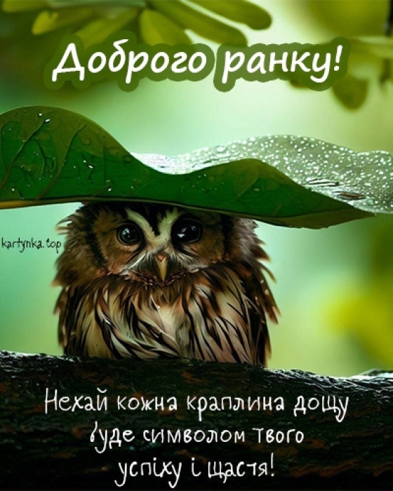 Доброго осіннього ранку! Найкращі листівки з привітаннями та побажаннями гарного дня - фото №15