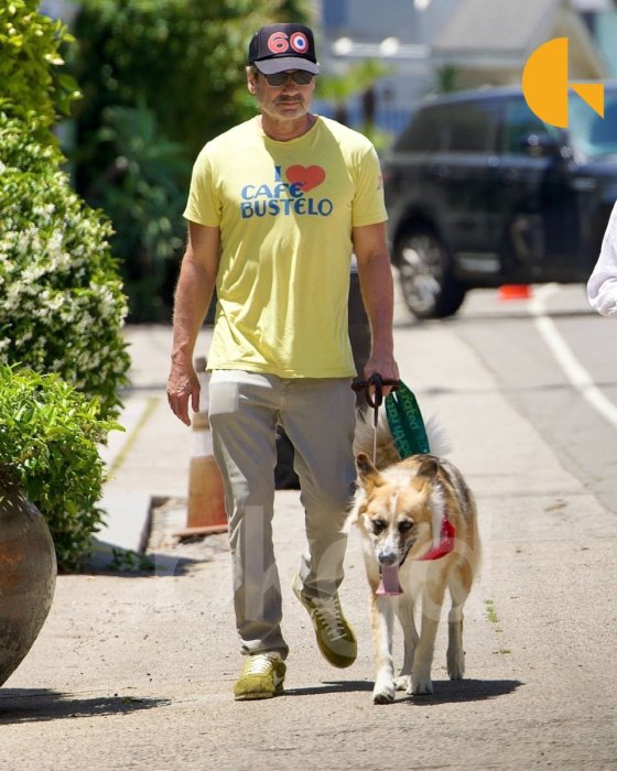 Дэвид Духовны женился – новые фото актера и его избранницы