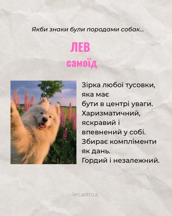 Гороскоп яка ти собака для Лева