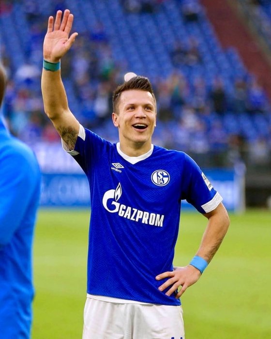 Коноплянка на поле, фото