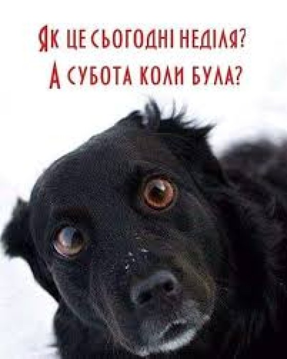 Шутки о последнем дне недели