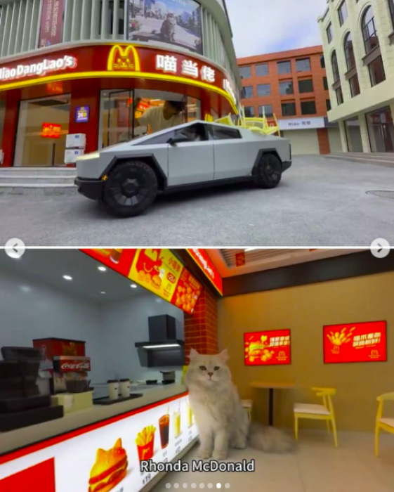 Мініатюрне містечко спеціально для котів