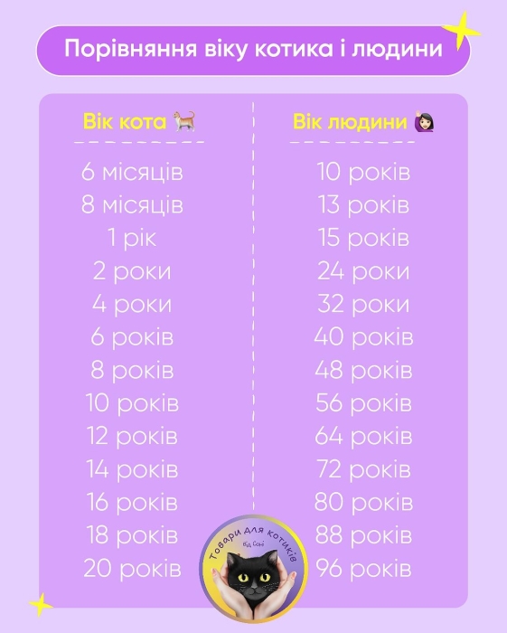 Как перевести кошачьи годы в человеческие — таблица