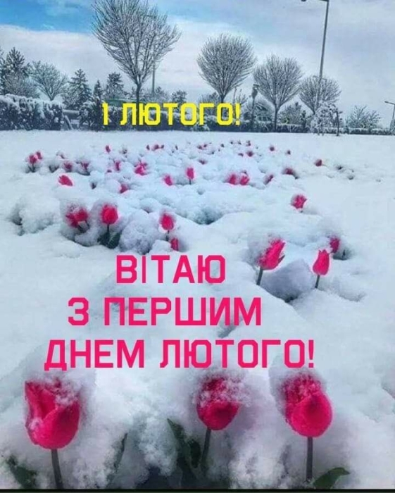 Привіт, 1 лютого! Бажаємо мирного місяця і дива — позитивні картинки українською - фото №2