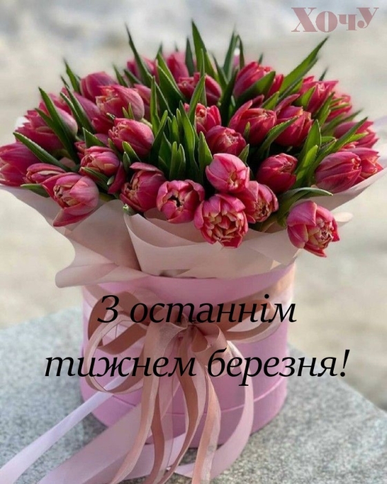 Букет тюльпанів у рожевій коробці, фото