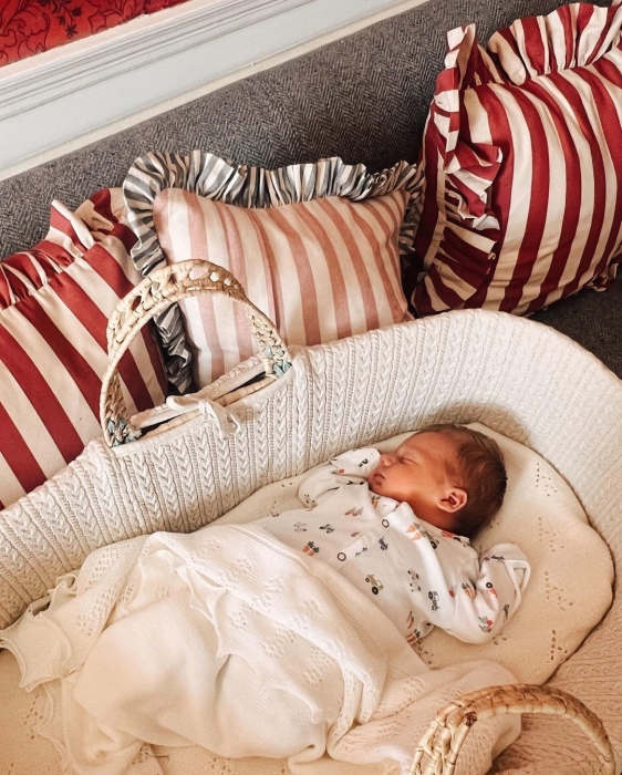 Борис Джонсон у восьмий раз став батьком: перші кадри новонародженого малюка - фото №2