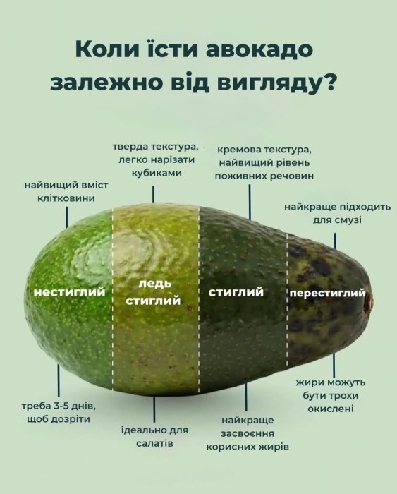 как выбрать авокадо