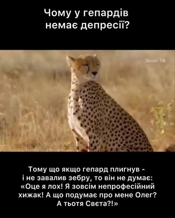 Шутки и юмор о жизни