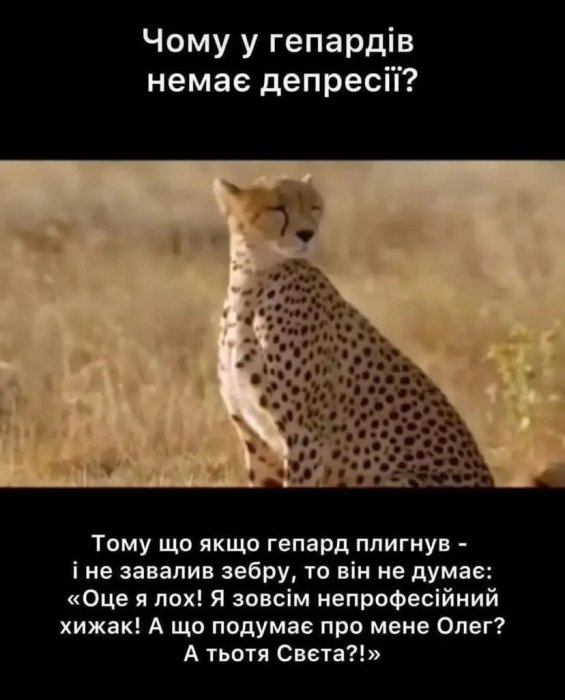 Самые смешные мемы о психотерапии