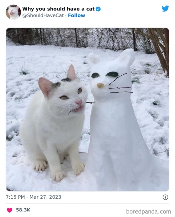 Кот со снеговиком фото