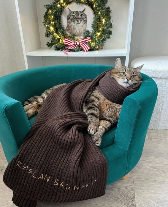 Кот Степан снялся в аксессуарах от Руслана Багинского.