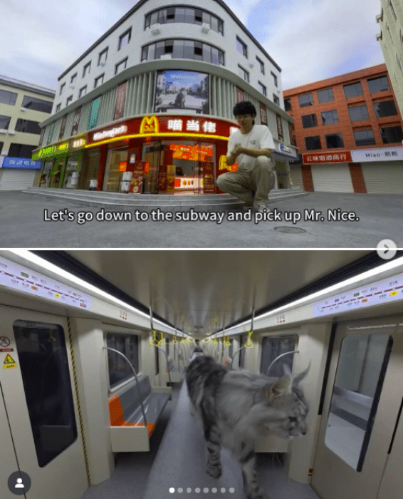 Мініатюрне містечко спеціально для котів