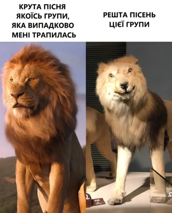 Свіжий гумор у картинках для гарного настрою