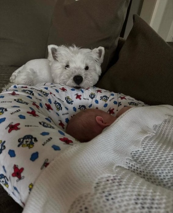 Син Лесі Нікітюк