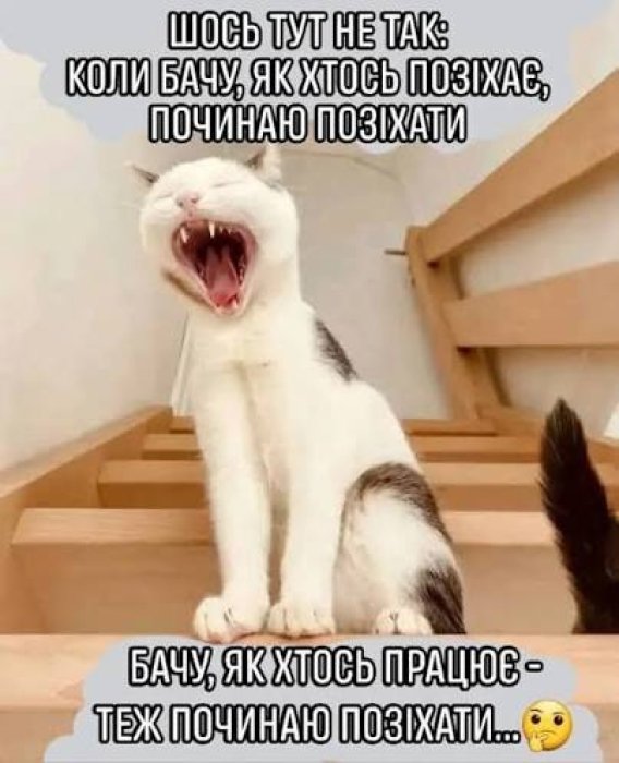 Приколы о лень и ленивых людях