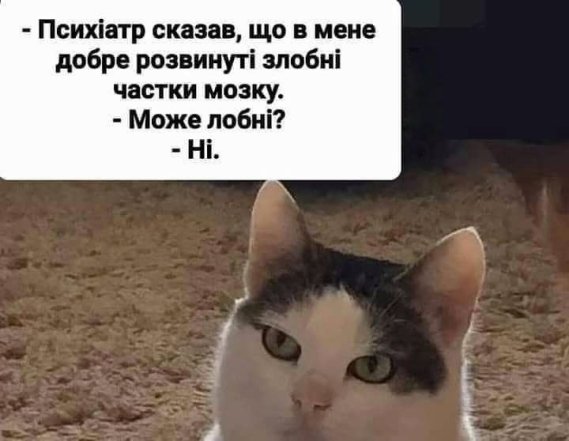 Самые смешные мемы о психотерапии