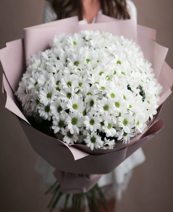 Хризантемы букет, фото