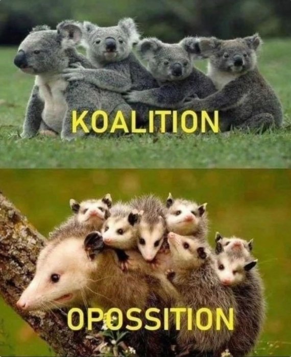 Порция юмора для бодрого дня