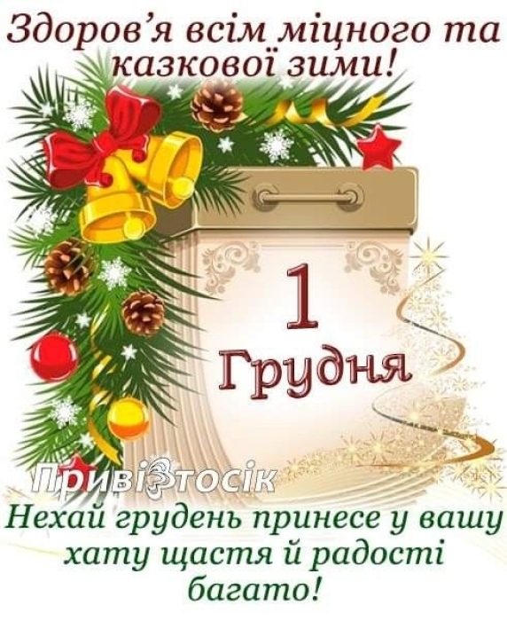 Вітаємо з приходом зими! Щирі побажання та забавні картинки — українською - фото №10