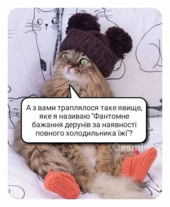 Смешные картинки о приготовлении дерунов