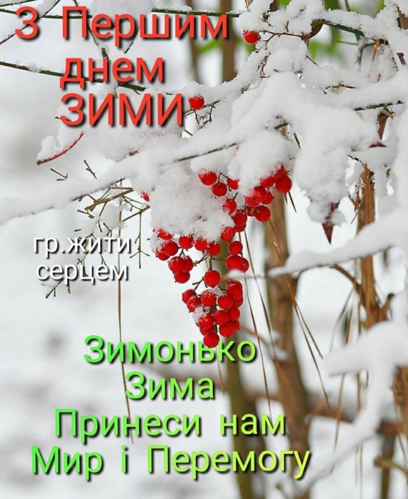 Вітаємо з приходом зими! Щирі побажання та забавні картинки — українською - фото №18