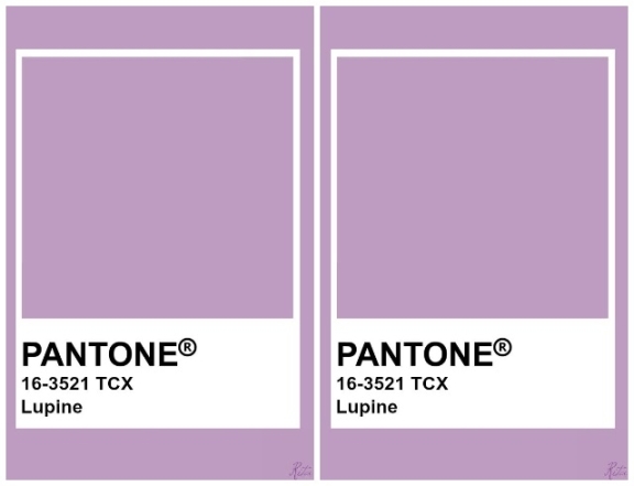Институт Pantone назвал главные цвета осени 2020. Как и с чем их носить? (ФОТО) - фото №4