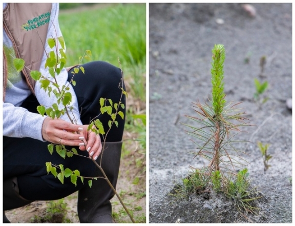 Озеленимо планету разом! Фонд Yves Rocher висадив 100 000 дерев в Україні (ФОТО) - фото №1
