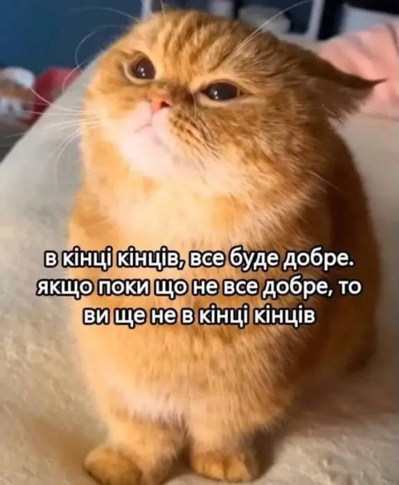 Подборка мемов о нервах
