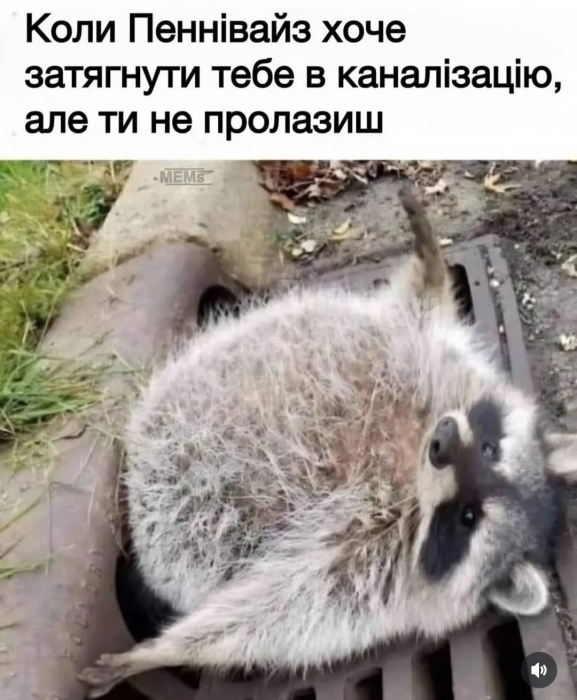 Свіжий гумор у картинках для гарного настрою