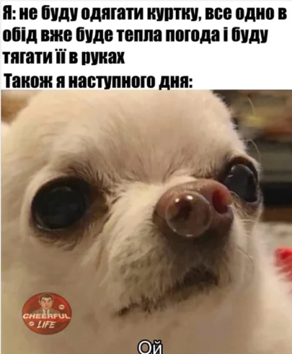 Жарти та меми про осінні дні