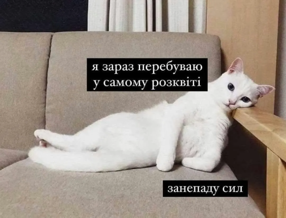 Жизненные мемы о работе в офисе